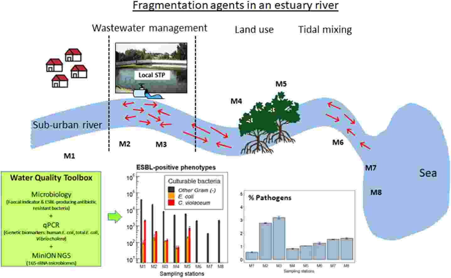 Graphical abstract, taken from paper